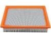 Air Filter:4R3Z-9601-AA