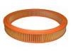 Luftfilter Air Filter:93152307