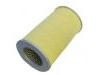 Luftfilter Air Filter:17801-30050