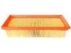 Air Filter:51854598