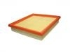 Air Filter:S21-1109111