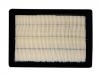 Luftfilter Air Filter:2010005ASV0000