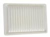 Filtro de aire Air Filter:11090207V2