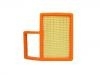 Luftfilter Air Filter:23890271