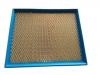 Air Filter:A021P00043