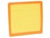 Filtro de aire Air Filter:1016014789